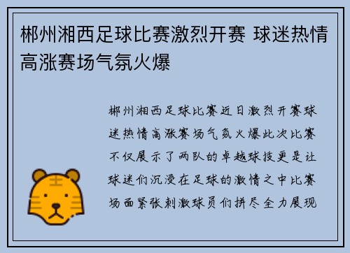 郴州湘西足球比赛激烈开赛 球迷热情高涨赛场气氛火爆