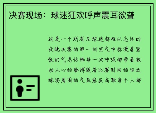 决赛现场：球迷狂欢呼声震耳欲聋