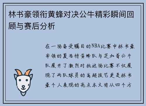 林书豪领衔黄蜂对决公牛精彩瞬间回顾与赛后分析