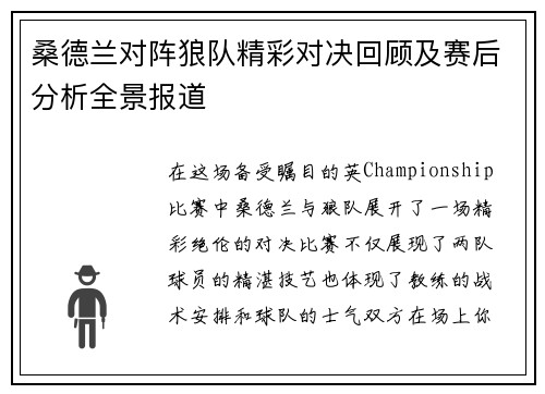 桑德兰对阵狼队精彩对决回顾及赛后分析全景报道