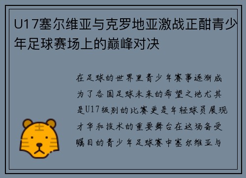 U17塞尔维亚与克罗地亚激战正酣青少年足球赛场上的巅峰对决