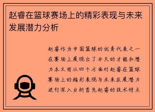 赵睿在篮球赛场上的精彩表现与未来发展潜力分析
