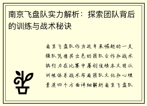 南京飞盘队实力解析：探索团队背后的训练与战术秘诀