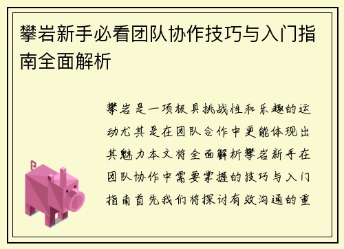 攀岩新手必看团队协作技巧与入门指南全面解析