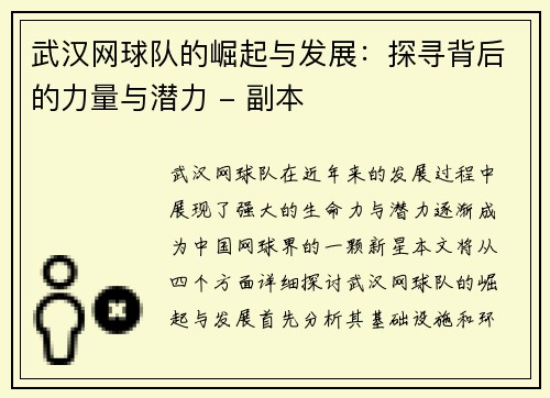 武汉网球队的崛起与发展：探寻背后的力量与潜力 - 副本