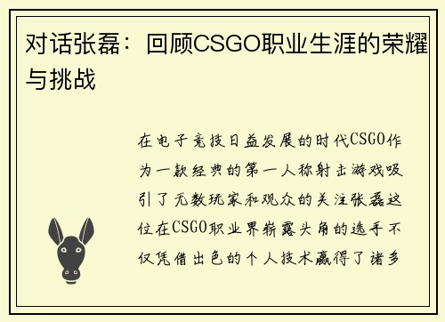 对话张磊：回顾CSGO职业生涯的荣耀与挑战